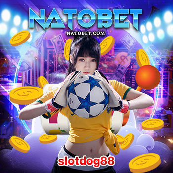 slotdog88 เว็บสล็อต ฝากขั้นต่ำ 1 บาท ก็เล่นได้ เปิดยูสใหม่ วางเดิมพันได้อย่างอิสระ ไม่มีข้อผูกมัด | NATOBET